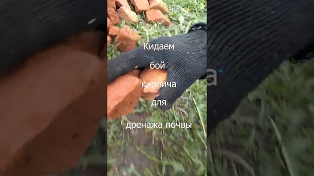ямки для деревянного столба | столбы для забора | деревенская жизнь смотреть онлайн