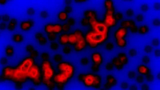 Glowing circular embers. Abstract animation/art generated with python (w/ numpy + png modules). смотреть онлайн