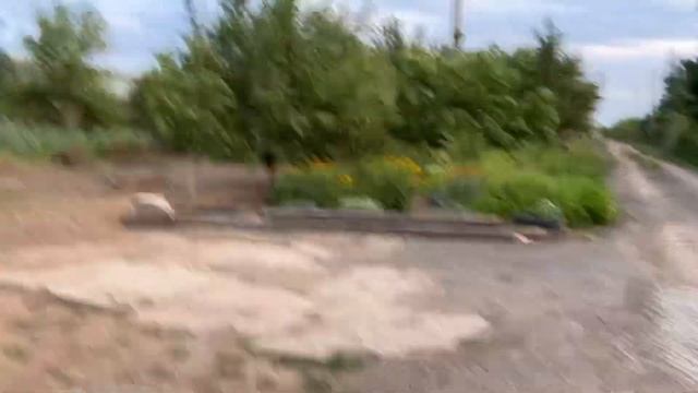 Решил пройти по дачам и глянуть кто как живет смотреть онлайн