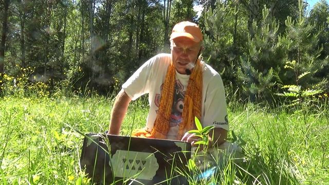 Поход на Соколиный камень. Кришна катха. Юга-дхарма. Гаджа Ханта дас. 14.06.2020 смотреть онлайн