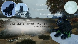 НЕСКОЛЬКО БАГОВ В WC:UE! | С Пк и Ноута/Объяснение | Warrior Cats: Ultimate Edition