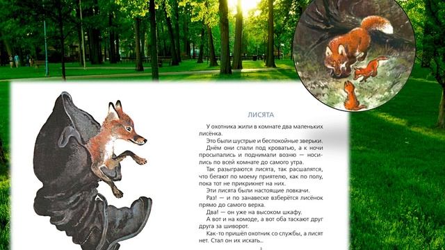 Мир Чарушина смотреть онлайн