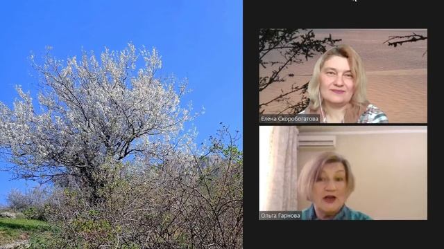 ПРАКТИКА ПЕРЕМЕН. Программа коуч-интенсива. Ольга Гарнова. смотреть онлайн