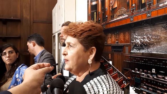 Teresa Bellanova (Pd) in sala stampa su Decreto Dignità смотреть онлайн