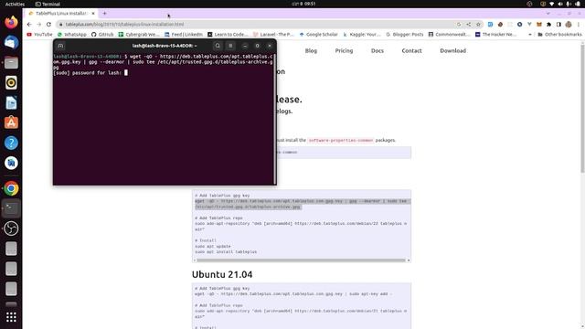 How to install Tableplus on Ubuntu смотреть онлайн