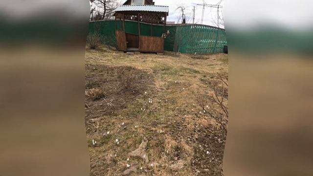 Дача Озон-2 смотреть онлайн