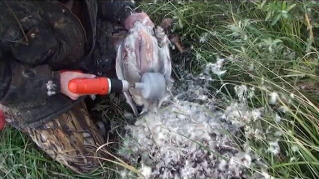 ощипыватель птицы смотреть онлайн