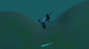 world of warcraft прохождение квеста Trial of the Sea Lion / Испытание Морского Льва