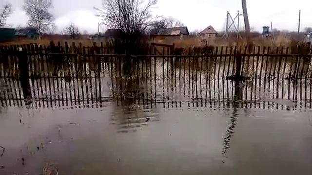 Потоп 2018. Дачи в Заречном