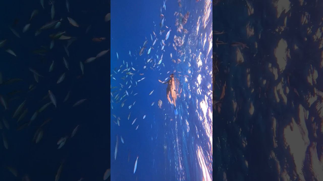 Будь как рыба в океане, приходи учиться нырять #фридайвинг #travel #freediving #swimming #underwater смотреть онлайн
