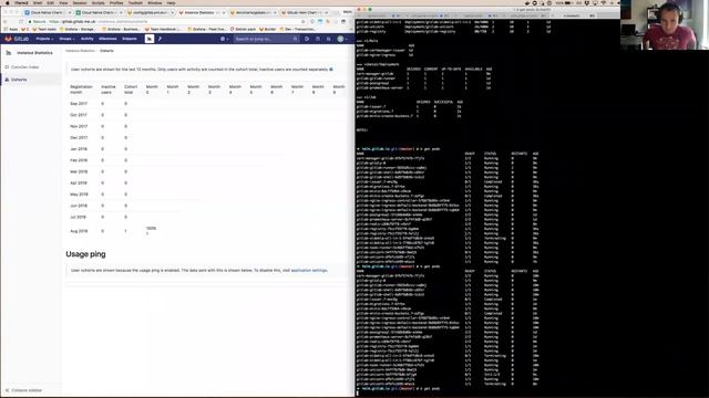 GitLab Distribution - GitLab Helm Charts Road to GA Demo 2018-08-10 смотреть онлайн