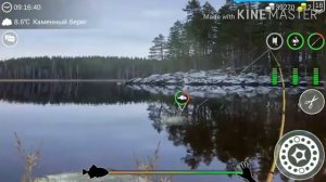 ТОП 2  СПОСОБА ФАРМА СЕРЕБРА В ИГРЕ "My fishing world"