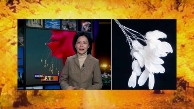 Майтрея смотреть онлайн