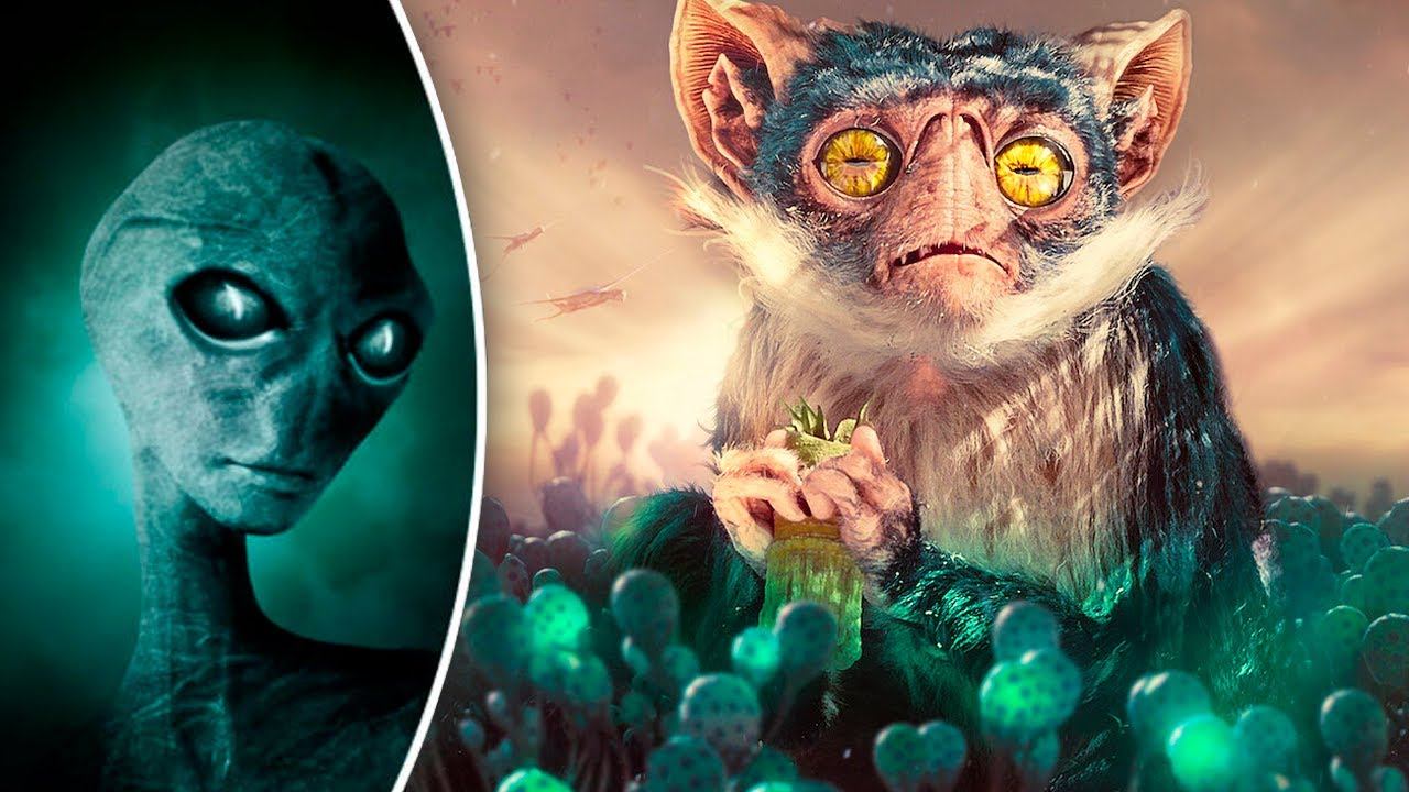 Как выглядит Жизнь на ДРУГИХ ПЛАНЕТАХ? смотреть онлайн