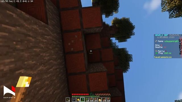 Public SMP 24/7 CAN JOIN | Java And Pe | Minecraft live | 7N Esports #minecraft смотреть онлайн