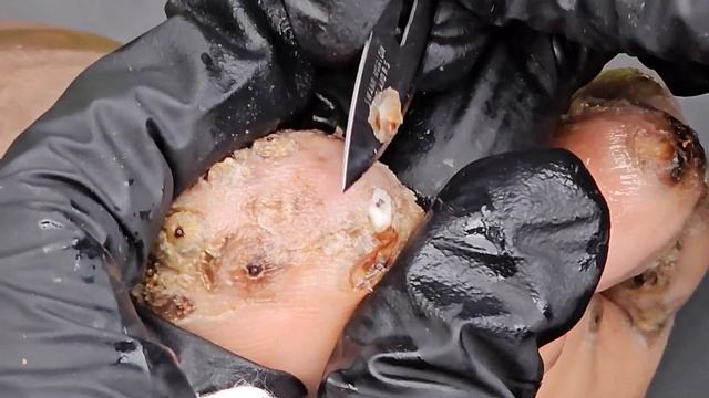 Elvis jigger digging - see long video @riseupsociety.net (subscribe w/ $10 monthly) смотреть онлайн