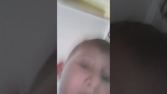 Мой кот подрался с другими котами смотреть онлайн