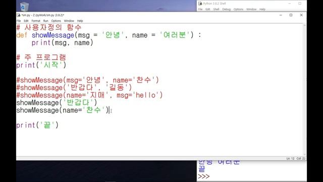 키워드 인수와 매개변수 기본값 | 변수와 함수 | 파이썬 기초 프로그래밍 | 이찬수 교수 смотреть онлайн