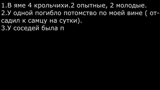 Ямное содержание кроликов. Убийство крольчат смотреть онлайн