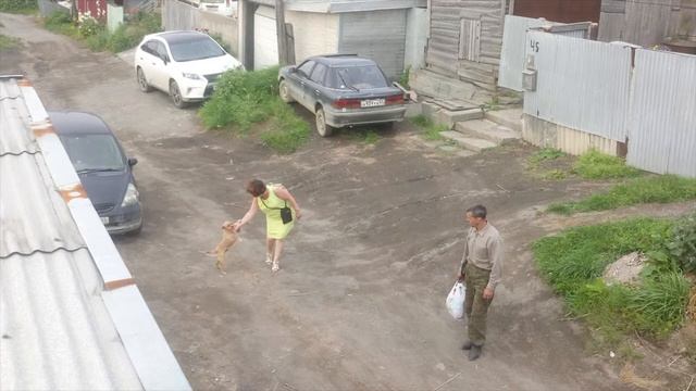 Ошо Сохраняется лишь то - что присутствует в форме Бога смотреть онлайн