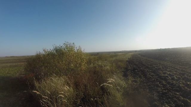 Подняли стайку куропаток смотреть онлайн