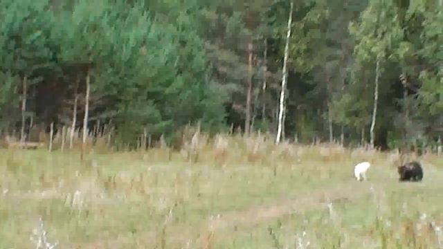 S1340007 6 смотреть онлайн