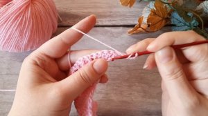 Вяжем бактус (шаль) "Чаровница" крючком.