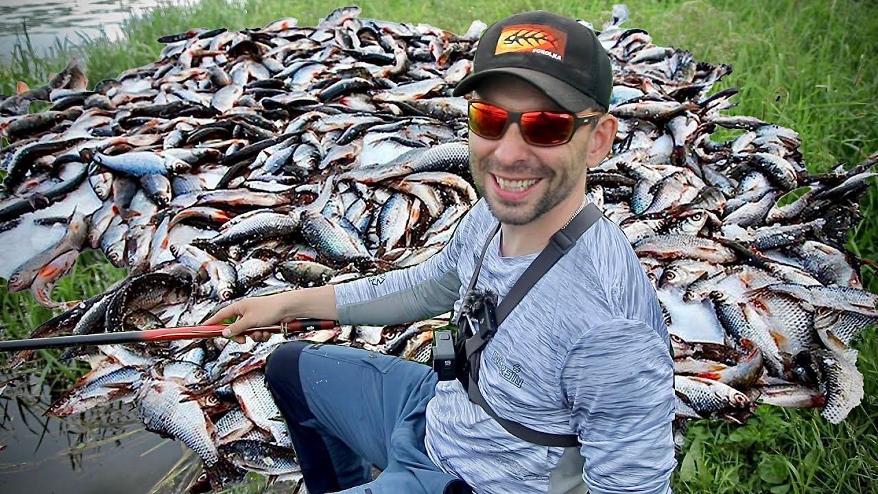 300 РЫБ ЗА 3 ЧАСА?! ХУЖЕ БРАКОНЬЕРА!!! Ловлю на поплавок карася... смотреть онлайн