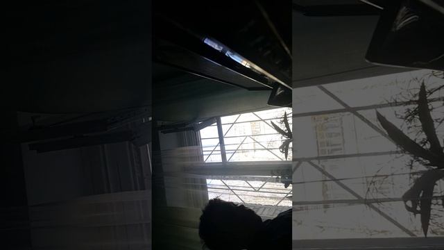 играю фламенко и собачий вальс смотреть онлайн