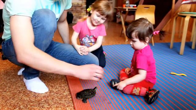 Нелли и Злата в гостях у бабушки!!!Nelly and Zlata in her grandmother's house!!! смотреть онлайн
