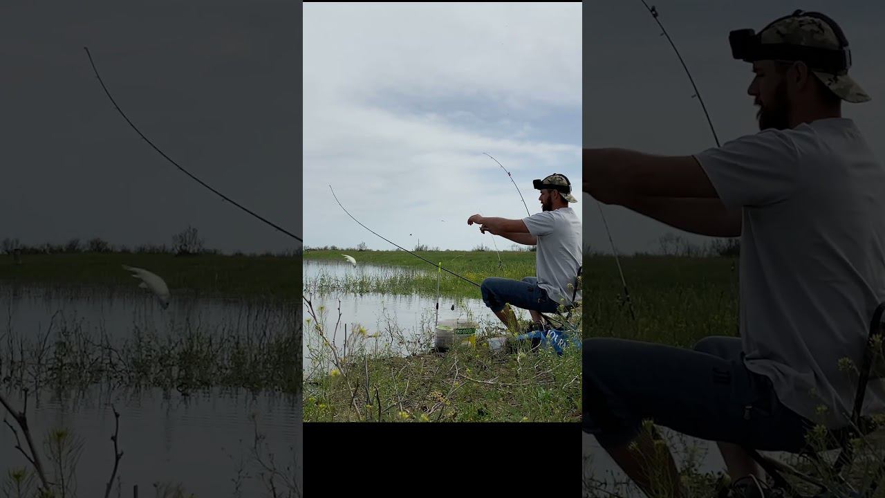 В ЭТОМ ГОДУ ПРОСТО "БЕШЕНЫЙ" КЛЁВ ВОБЛЫ. смотреть онлайн