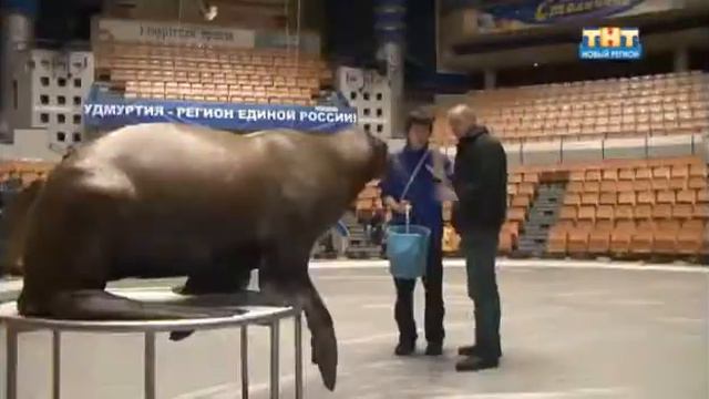 'Урок биологии' с Василием Тимченко смотреть онлайн