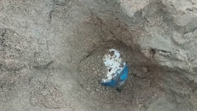 Копаю зимой на пляже https://t.me/prometallokop смотреть онлайн