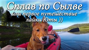 Сплав по Сылве. Или первое путешествие лайки Юты))