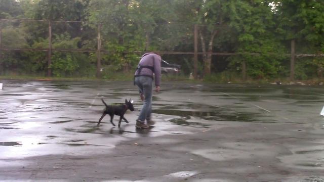 Никульцева Мария и Паркен ралли обиденс 26.08.17 псков смотреть онлайн