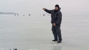 Ни хвоста, ни чешуи. Сезон 2. Выпуск 2