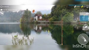 My Fishing World Жерех ловим один за другим