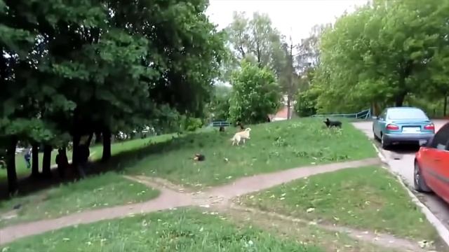 10 КРУТЫХ ВЕЩЕЙ НА ALIEXPRESS!1 смотреть онлайн