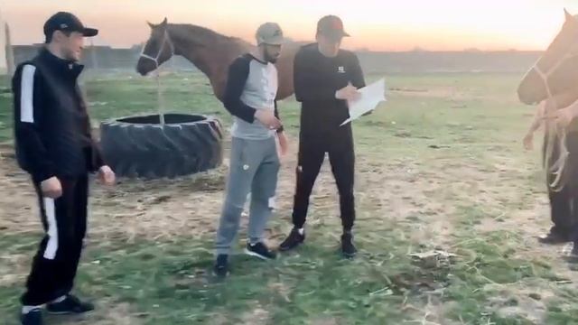 Арман Оспанов Сункар подарили коня смотреть онлайн