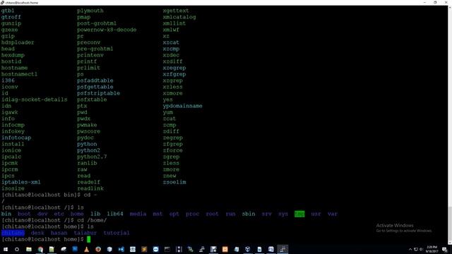 Linux file system hierarchy and working with directory like pwd, cd, ls смотреть онлайн
