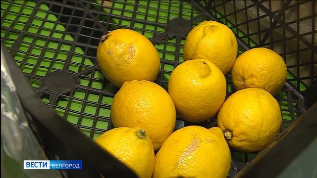 ФАС контролирует цены на социально значимые продукты смотреть онлайн