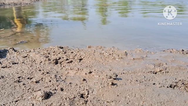 Muddy Auto Rikhshaw And Tractor Help JCB And Water Jump Muddy Cleaning| Tractor vidio|JCB vidio смотреть онлайн
