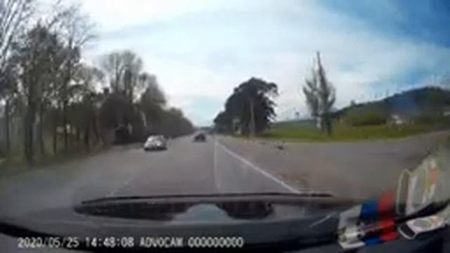 Путешествия и поездки в леса и по улицам Смоленска. смотреть онлайн