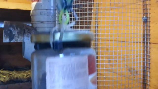Counter weight that close the coop door смотреть онлайн