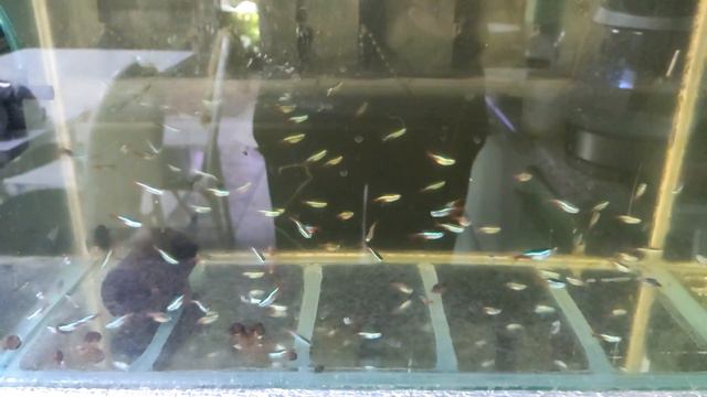 карантин голубого неона смотреть онлайн