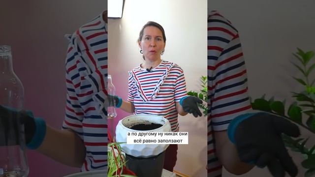 Как обеззаразить землю для рассады и цветов после покупки. смотреть онлайн
