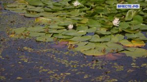 Астраханская область. Вместе по России