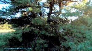 Небо в осколках