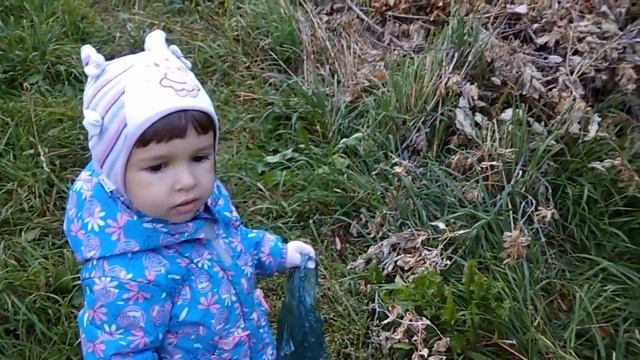 ВЛОГ Алиса гуляет и собирает природный материал Детский канал Little baby смотреть онлайн
