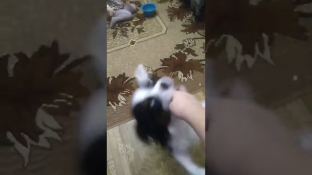 24 февраля 2022 г. смотреть онлайн